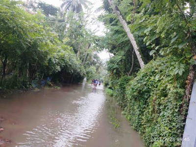 টানা বৃষ্টিতে প্লাবিত বাগেরহাটের নিম্নাঞ্চল, শত শত পরিবার পানিবন্দী টানা বৃষ্টিতে প্লাবিত বাগেরহাটের নিম্নাঞ্চল, শত শত পরিবার পানিবন্দী